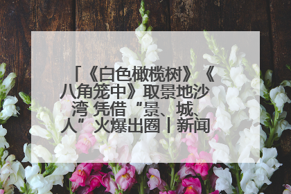 《白色橄榄树》《八角笼中》取景地沙湾 凭借“景、城、人”火爆出圈丨新闻发布最前线
