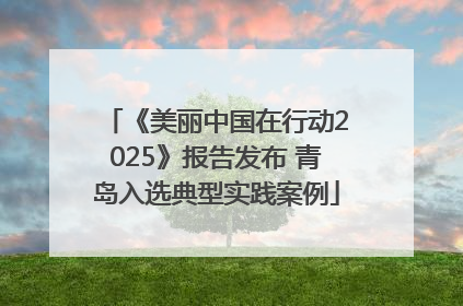 《美丽中国在行动2025》报告发布 青岛入选典型实践案例