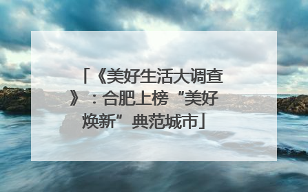 《美好生活大调查》：合肥上榜“美好焕新”典范城市
