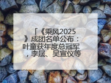 《乘风2025》成团名单公布：叶童获年度总冠军，李晟、吴宣仪等10位姐姐成功成团，陈德容获年度高光人物
