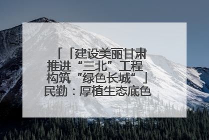 「建设美丽甘肃 推进“三北”工程 构筑“绿色长城”」民勤：厚植生态底色 筑牢绿色屏障