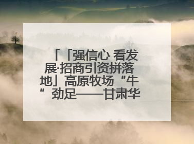 「强信心 看发展·招商引资拼落地」高原牧场“牛”劲足——甘肃华予高原牧场高标准奶牛肉牛养殖项目一线见闻
