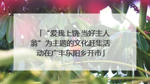 “爱我上饶·当好主人翁”为主题的文化赶集活动在广丰东阳乡开市