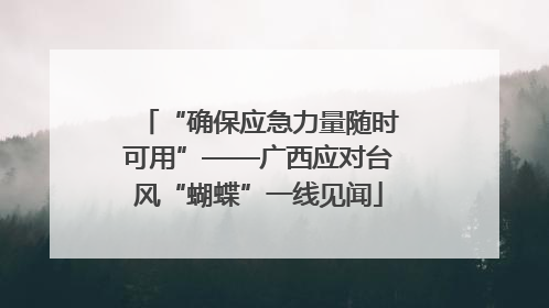 “确保应急力量随时可用”——广西应对台风“蝴蝶”一线见闻