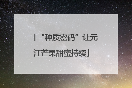“种质密码”让元江芒果甜蜜持续