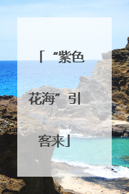 “紫色花海”引客来