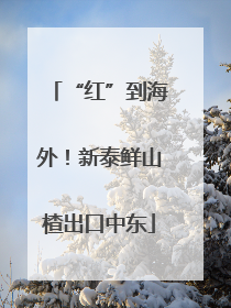 “红”到海外！新泰鲜山楂出口中东