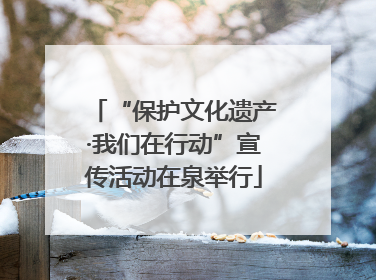 “保护文化遗产·我们在行动”宣传活动在泉举行