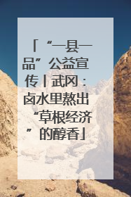 “一县一品”公益宣传丨武冈：卤水里熬出“草根经济”的醇香