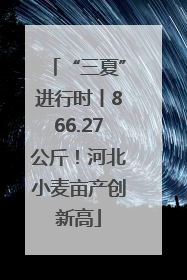 “三夏”进行时丨866.27公斤！河北小麦亩产创新高