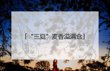 “三夏”麦香溢满仓
