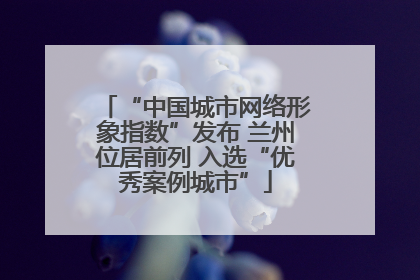 “中国城市网络形象指数”发布 兰州位居前列 入选“优秀案例城市”