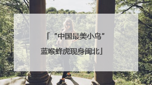 “中国最美小鸟”蓝喉蜂虎现身闽北