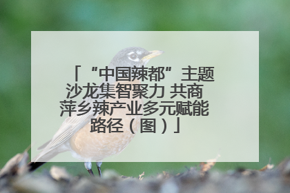 “中国辣都”主题沙龙集智聚力 共商萍乡辣产业多元赋能路径（图）