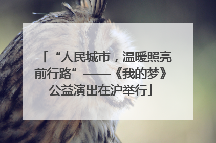“人民城市，温暖照亮前行路”——《我的梦》公益演出在沪举行