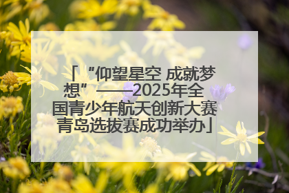 “仰望星空 成就梦想”——2025年全国青少年航天创新大赛青岛选拔赛成功举办