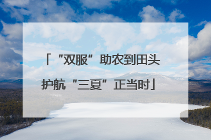 “双服”助农到田头 护航“三夏”正当时
