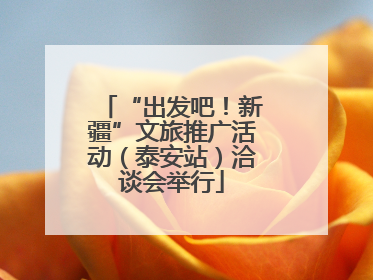 “出发吧！新疆”文旅推广活动（泰安站）洽谈会举行