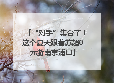 “对手”集合了！这个夏天跟着苏超0元游南京浦口