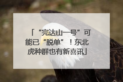 “完达山一号”可能已“脱单”！东北虎种群也有新喜讯