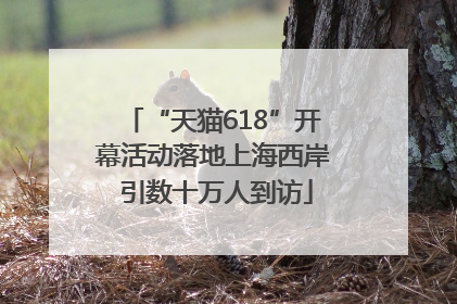 “天猫618”开幕活动落地上海西岸 引数十万人到访