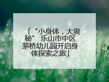 “小身体，大奥秘” 乐山市中区茅桥幼儿园开启身体探索之旅