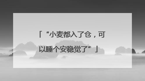 “小麦都入了仓，可以睡个安稳觉了”