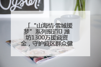 “山海情·雪域援梦”系列报道⑪ 潍坊1300万援藏资金，守护藏区群众健康“最后一公里”