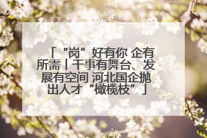“岗”好有你 企有所需丨干事有舞台、发展有空间 河北国企抛出人才“橄榄枝”
