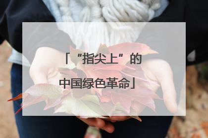 “指尖上”的中国绿色革命