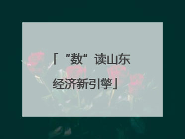“数”读山东经济新引擎