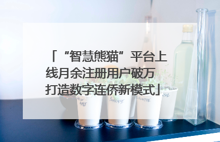 “智慧熊猫”平台上线月余注册用户破万 打造数字连侨新模式