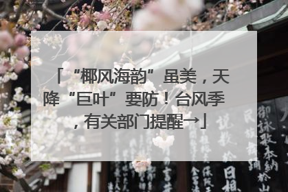 “椰风海韵”虽美，天降“巨叶”要防！台风季，有关部门提醒→