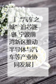 “汽车之城”追芯逐链 宁波前湾新区推动半导体与汽车等产业协同发展
