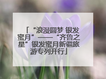 “浪漫圆梦 银发蜜月”——“齐鲁之星”银发蜜月新疆旅游专列开行