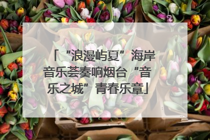 “浪漫屿夏”海岸音乐荟奏响烟台“音乐之城”青春乐章