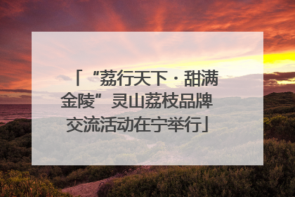 “荔行天下・甜满金陵”灵山荔枝品牌交流活动在宁举行