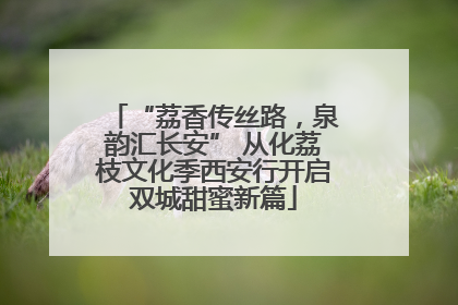“荔香传丝路，泉韵汇长安” 从化荔枝文化季西安行开启双城甜蜜新篇