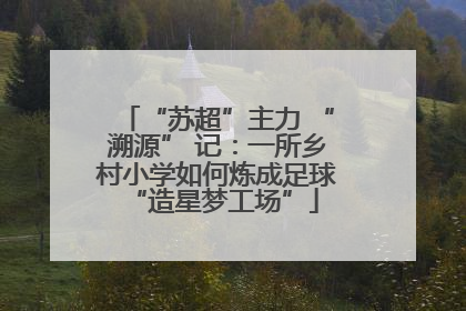“苏超”主力 “溯源” 记：一所乡村小学如何炼成足球 “造星梦工场”