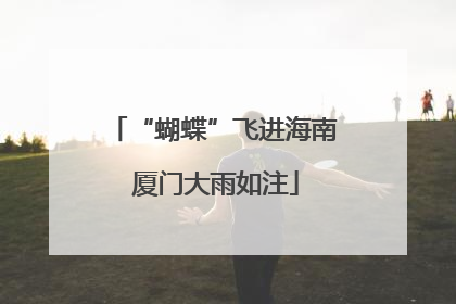 “蝴蝶”飞进海南 厦门大雨如注