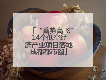 “蓄势高飞” 14个低空经济产业项目落地成都都市圈