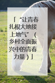 “让青春扎根大地接上地气”（乡村全面振兴中的青春力量）