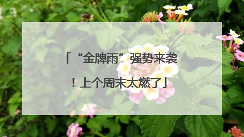 “金牌雨”强势来袭！上个周末太燃了