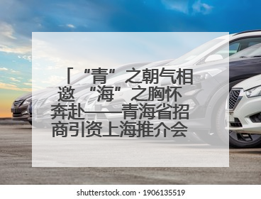 “青”之朝气相邀 “海”之胸怀奔赴——青海省招商引资上海推介会现场见闻