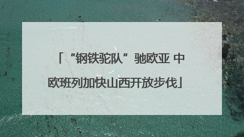 “钢铁驼队”驰欧亚 中欧班列加快山西开放步伐