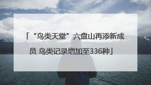 “鸟类天堂”六盘山再添新成员 鸟类记录增加至336种