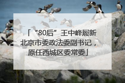 “80后”王中峰履新北京市委政法委副书记，原任西城区委常委