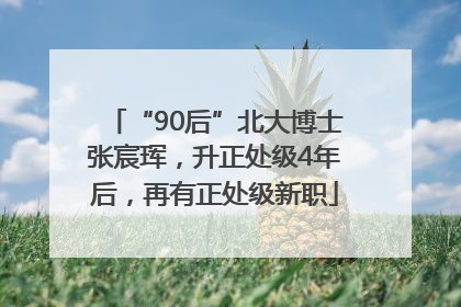 “90后”北大博士张宸珲，升正处级4年后，再有正处级新职