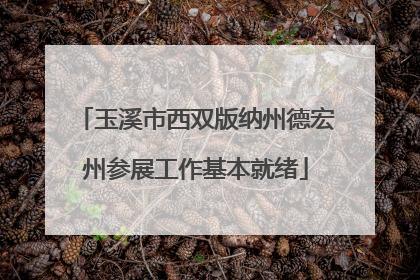 玉溪市西双版纳州德宏州参展工作基本就绪