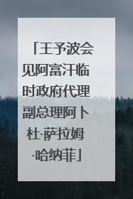 王予波会见阿富汗临时政府代理副总理阿卜杜·萨拉姆·哈纳菲